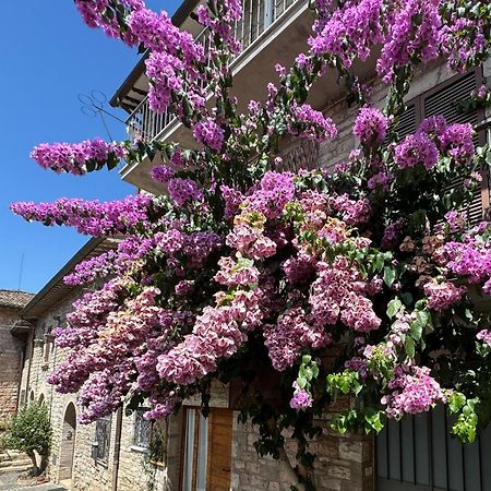 La Bouganville Assisi Exteriör bild